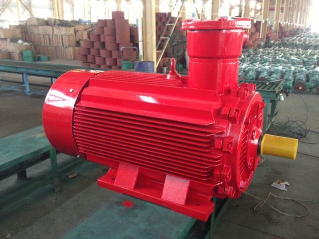 變頻防爆電機圖