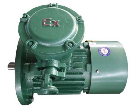 三相防爆電機